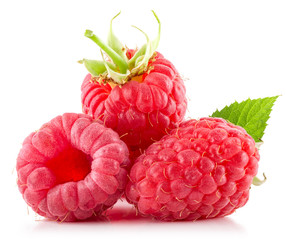 raspberries isolated on the white background