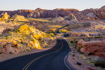 Lonesome road through the Valley of Fire