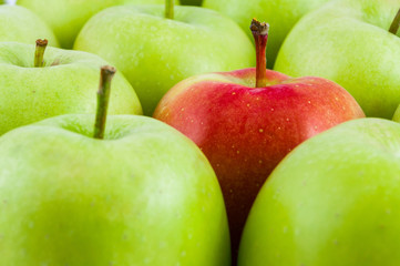 One red apple among green apples