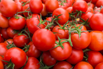 red tomatoes background. Group of tomatoes