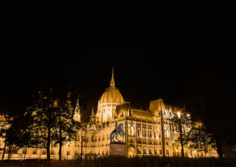 Fototapeta na wymiar budapest parliament in the night