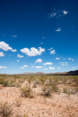 Big Bend National Park