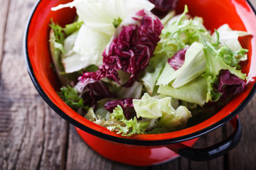 Green salad in a red colander.Capriccio.selective focus.