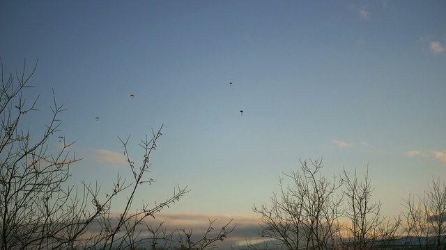 Silhouettes of paratroopers in the evening sky