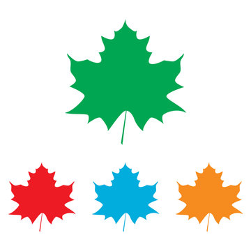 Maple leaf sign