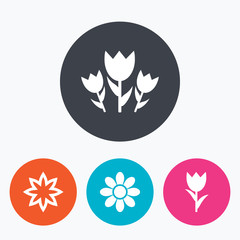 Flowers icons. Bouquet of roses symbol.