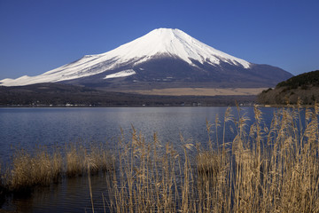 山中湖より富士山