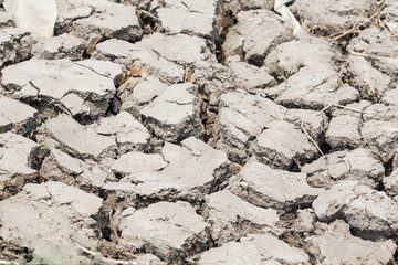 Cracked earth for background and texture