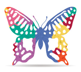 butterfly beauty drawn painted icon vector