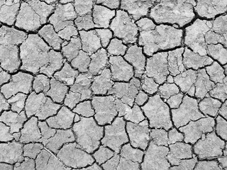 Mud cracks dryness ground texture