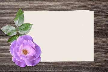 Purple rose and and paper on wood background
