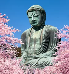 Crédence de cuisine en verre imprimé Bouddha Daibutsu in Kamakura zur Kirschblüte