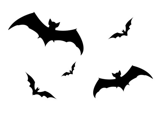 Set of bats silhouette vector