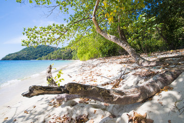 MYANMAR - JANUARY 11, 2016 : Ta Fook island is island beautiful