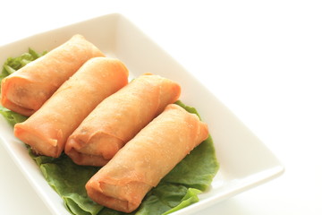 Chinese food, dim sum spring roll