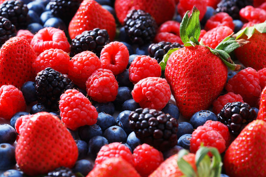 strawberries, blueberries, raspberries and black berries.
