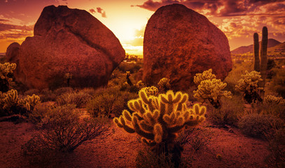 Dramatische Wüstenlandschaft in der Nähe von Scottsdale Red Rock Sunset