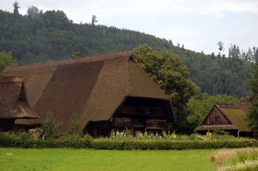 Fototapeta na wymiar German village