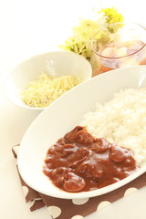 Homemade Japanese Hayashi rice