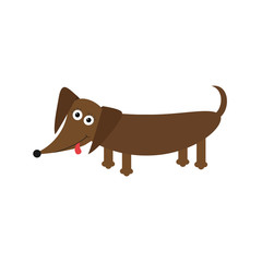 Dachshund dog breed with tongue. Cute cartoon character on white background. Isolated. Flat design
