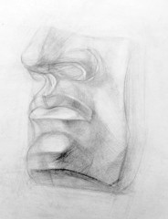 academic drawing pencil, illustration,anatomy, David's face