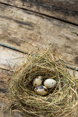 Obraz premium Easter wood background with nest and quail eggs