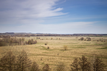 Fototapeta premium European Spring nature landscape with blue sky