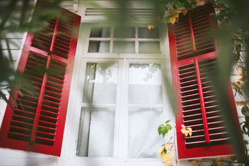 white window with red shutters and leaves