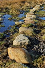 Fototapeta na wymiar Stone path through the wetland