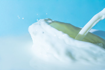 splash of milk, pouring jet stream of milk on a light blue background
