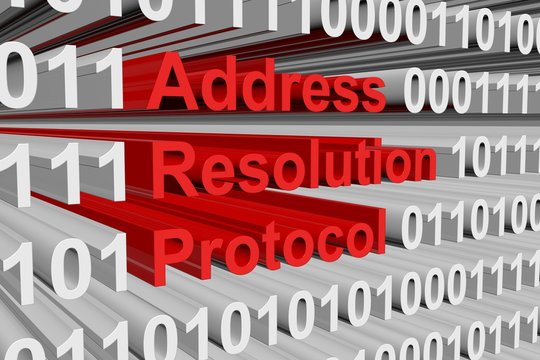The address resolution Protocol is presented in the form of binary code
