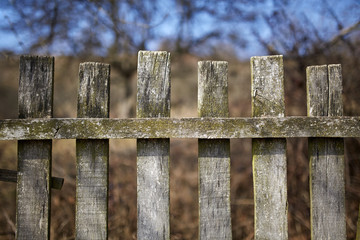Old fence