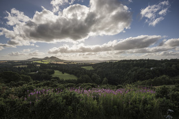 Obraz premium scots view