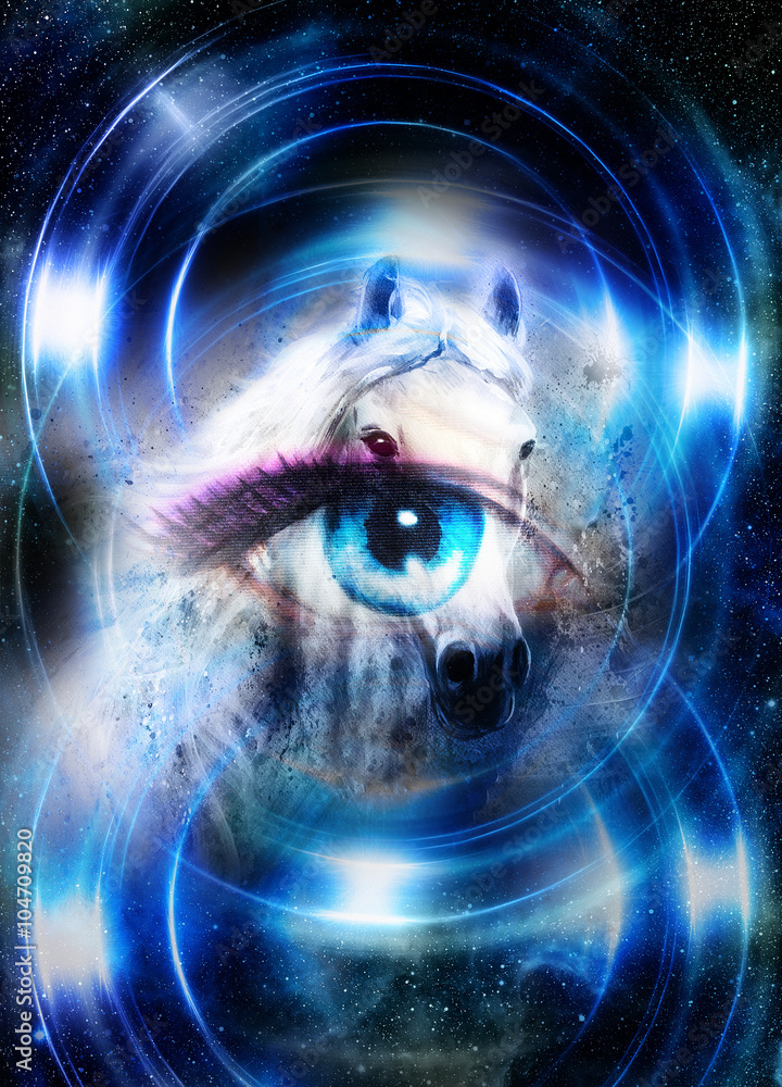 Wall mural horse in space and woman eye and circle light. animal concept. winter effect and blue color.