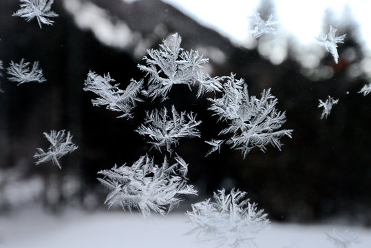 498 Best 氷の結晶 Images Stock Photos Vectors Adobe Stock 498 Best 氷の結晶 Images Stock Photos Vectors Adobe Stock