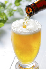 グラスにビールを注ぐ　Pouring beer into glass