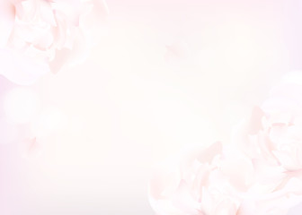 Flower background with peonies and petals