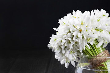 bouquet of snowdrops in vase