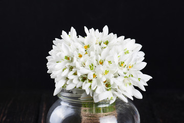 bouquet of snowdrops in vase