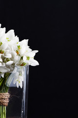 Naklejka na ściany i meble bouquet of snowdrops in vase