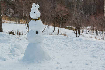 Ugly snowman be built from kid.