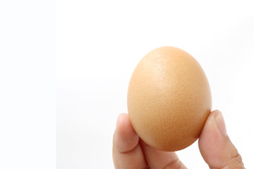 Egg in hand isolated