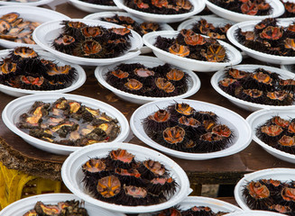 sea urchin - Ricci di mare