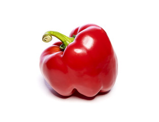 Red pepper on a white background.