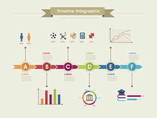 education infographic template design