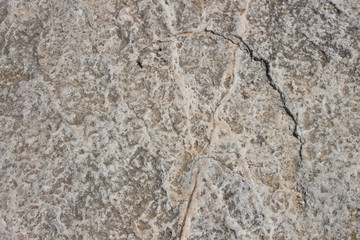 Stone texture