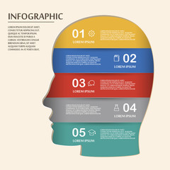 education infographic template design