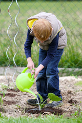 Little Boy Garden