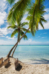 Tropical beach in Saona island, Dominican Republic - obrazy, fototapety, plakaty