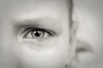 eye